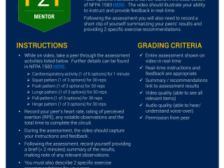 Mentor
